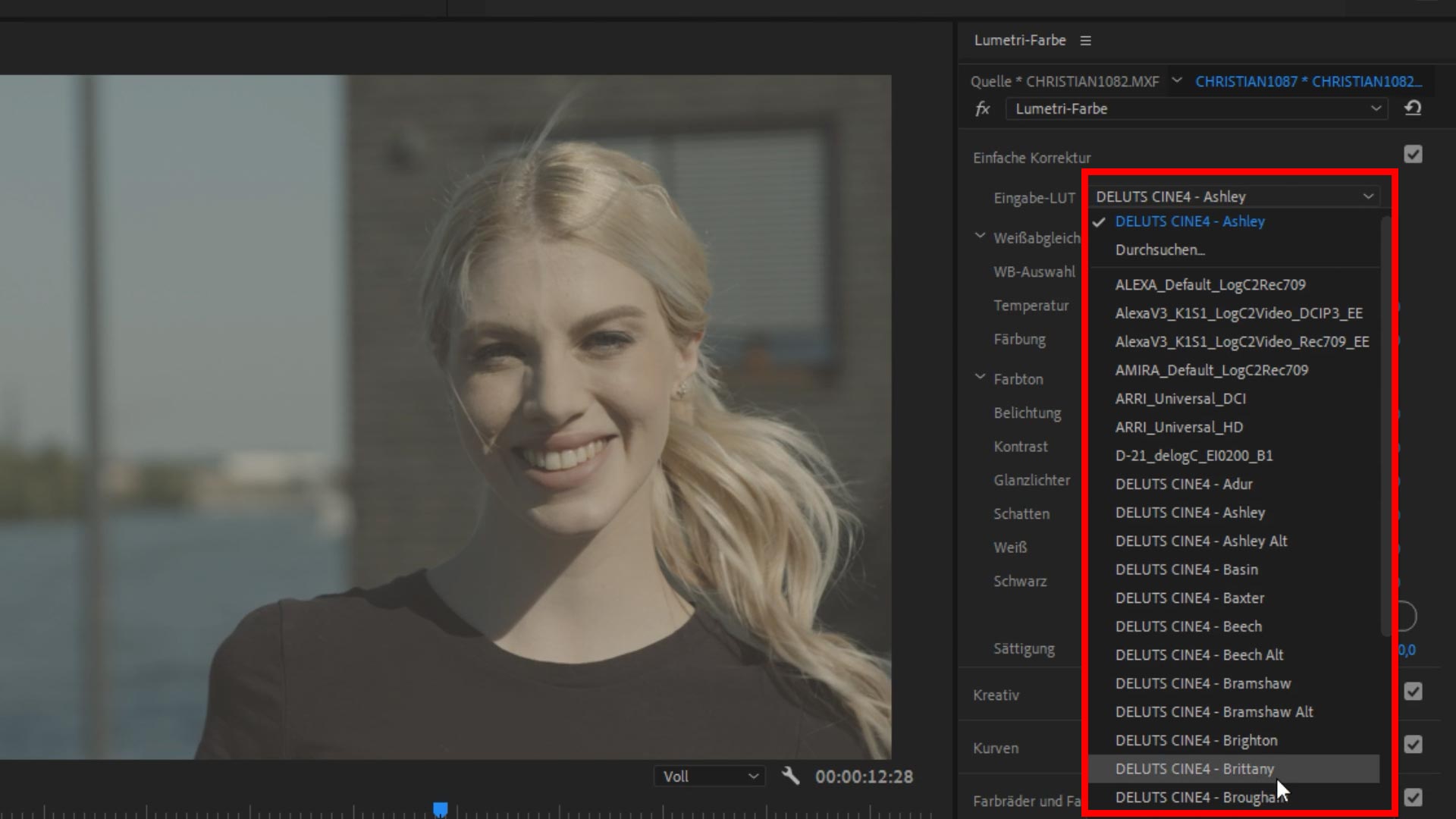 Luts installieren Premiere Pro